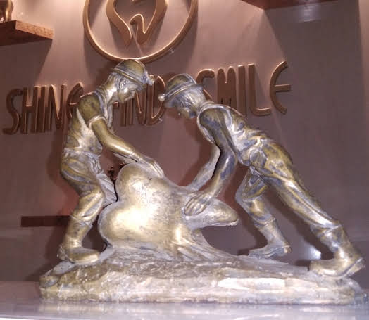 Rohini clinic interior detail